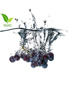 Νερό Σταφύλι Bio 150ml Γαλήνοιος Σταφυλή